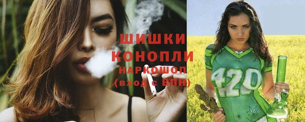 ПСИЛОЦИБИНОВЫЕ ГРИБЫ Арсеньев