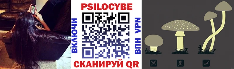 Галлюциногенные грибы GOLDEN TEACHER  Мышкин 